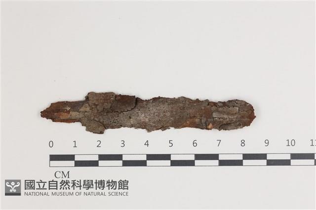 登錄號:F0035441藏品圖，第1張