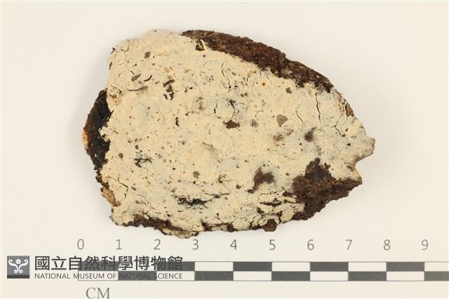 登錄號:F0036741藏品圖，第1張