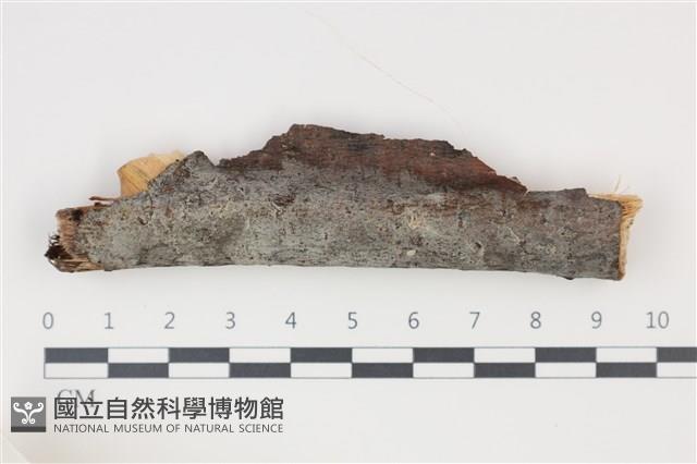 登錄號:F0035291藏品圖，第1張