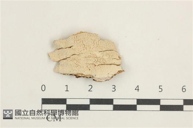 Accession Number:F0038391 Collection Image, Figure 1, Total 2 Figures