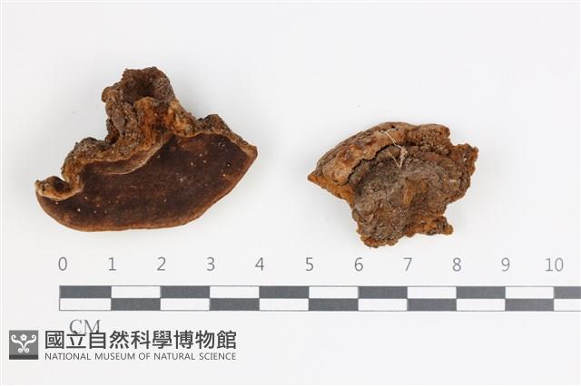 登錄號:F0035391藏品圖，第1張