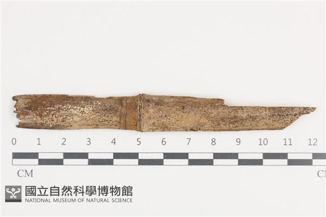 登錄號:F0036281藏品圖，第1張