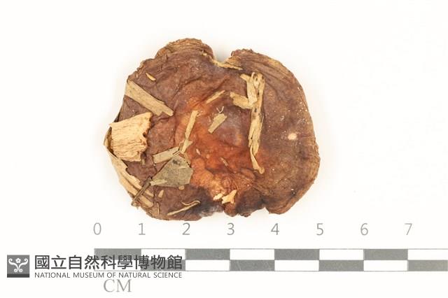 登錄號:F0036881藏品圖，第1張