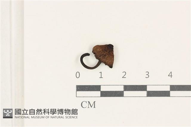 登錄號:F0038231藏品圖，第1張