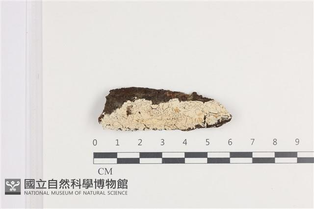 登錄號:F0036431藏品圖，第1張