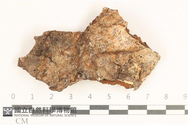 登錄號:F0038531藏品圖，第1張