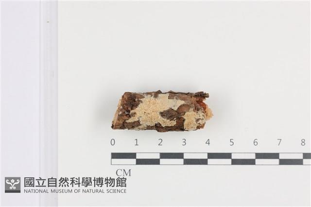 登錄號:F0010071藏品圖，第1張