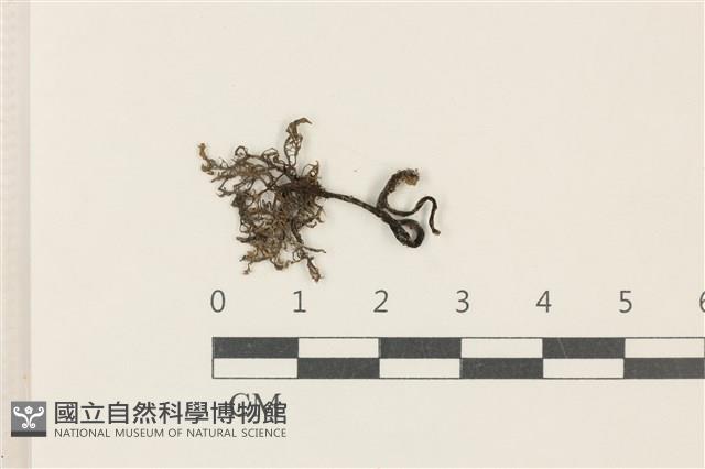登錄號:F0037864藏品圖，第1張