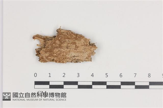 登錄號:F0035764藏品圖，第1張