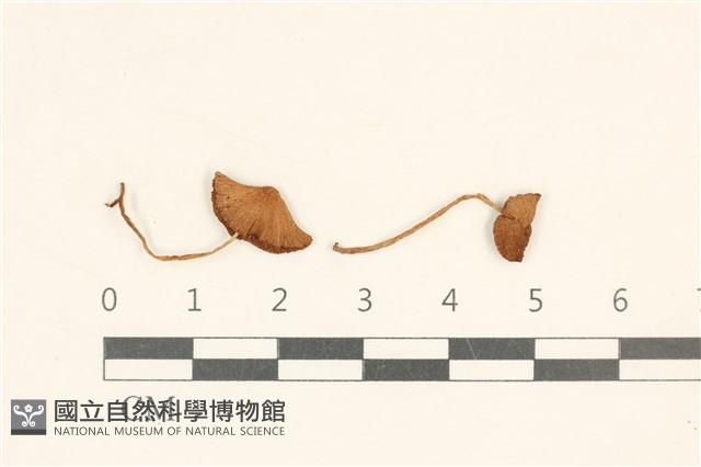 登錄號:F0037224藏品圖，第1張