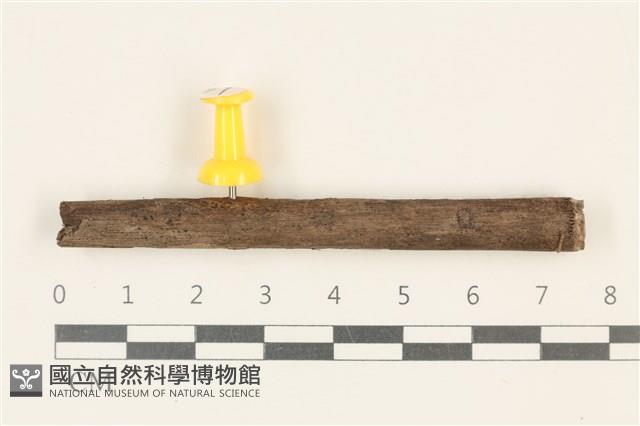 登錄號:F0037724藏品圖，第1張