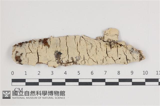 登錄號:F0035724藏品圖，第1張