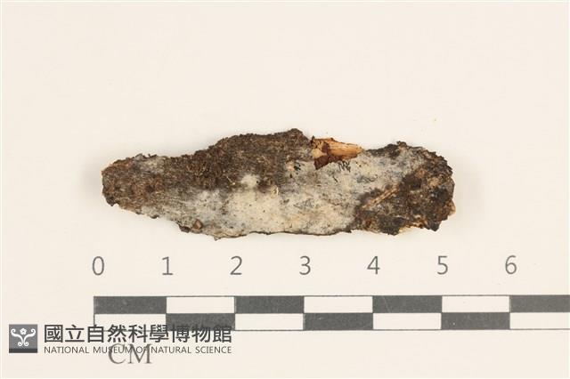 登錄號:F0038524藏品圖，第1張