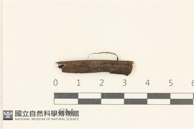 登錄號:F0038124藏品圖，第1張