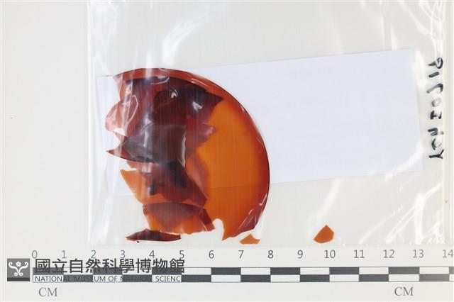 登錄號:F0035124藏品圖，第1張