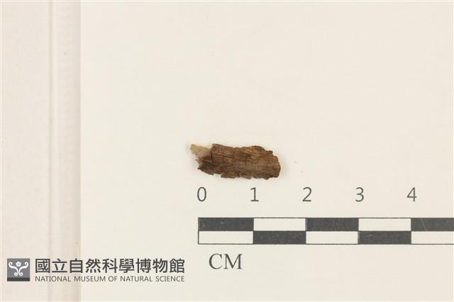 登錄號:F0037704藏品圖，第1張