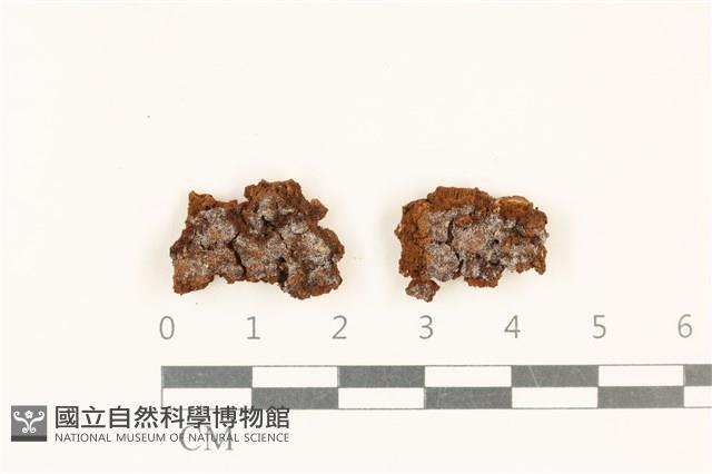 登錄號:F0017814藏品圖，第1張