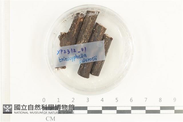 登錄號:F0038614藏品圖，第1張