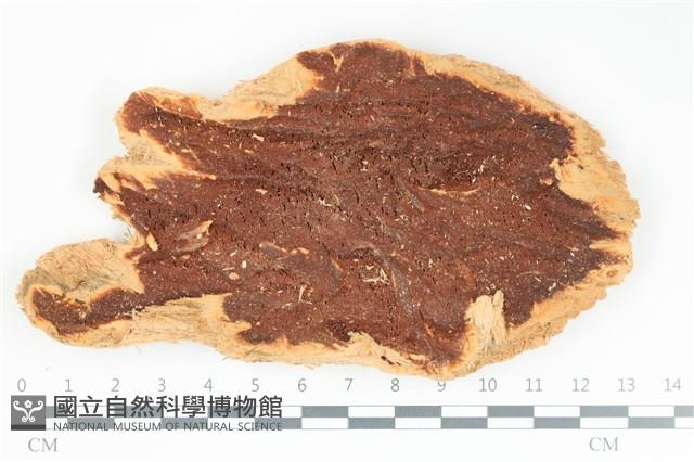 登錄號:F0036714藏品圖，第1張