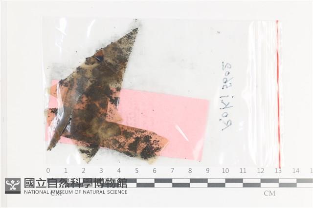 登錄號:F0036014藏品圖，第1張
