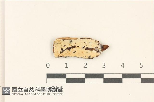 登錄號:F0017854藏品圖，第1張