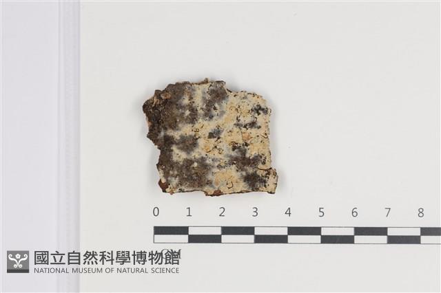 登錄號:F0035754藏品圖，第1張
