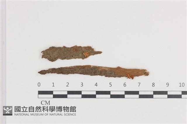 登錄號:F0036054藏品圖，第1張