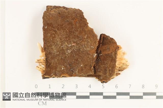 登錄號:F0038354藏品圖，第1張