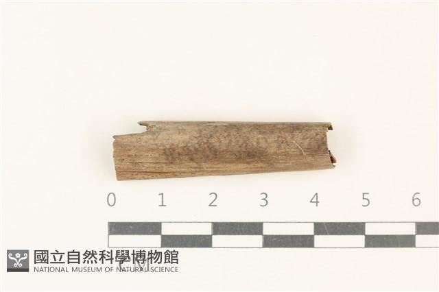 登錄號:F0037944藏品圖，第1張