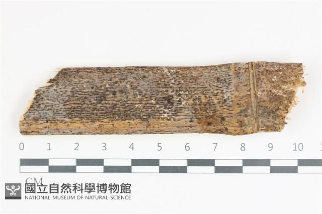 登錄號:F0035944藏品圖，第1張
