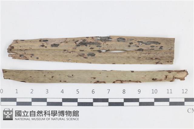 登錄號:F0038644藏品圖，第1張