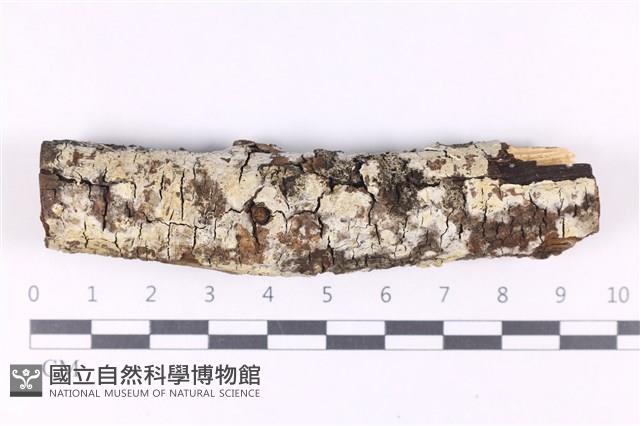 登錄號:F0027644藏品圖，第1張