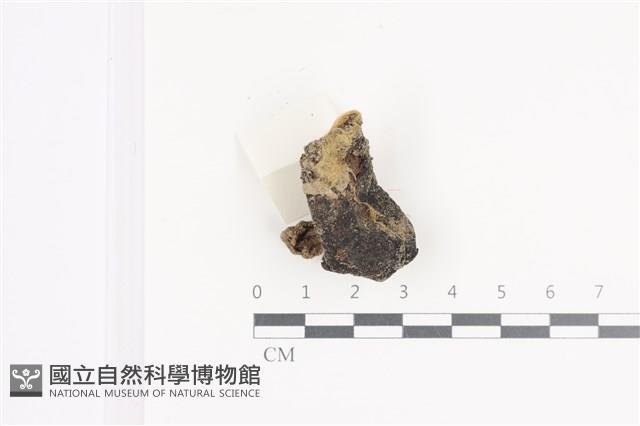 登錄號:F0036144藏品圖，第1張