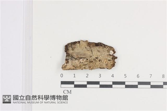 Accession Number:F0036294 Collection Image, Figure 1, Total 2 Figures