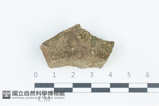 登錄號:F0039294藏品圖，第1張