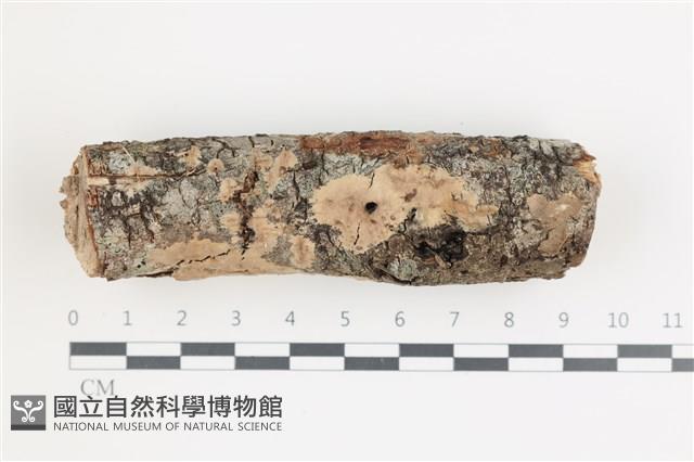 登錄號:F0035894藏品圖，第1張