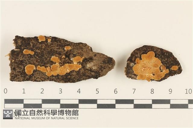 登錄號:F0036794藏品圖，第1張