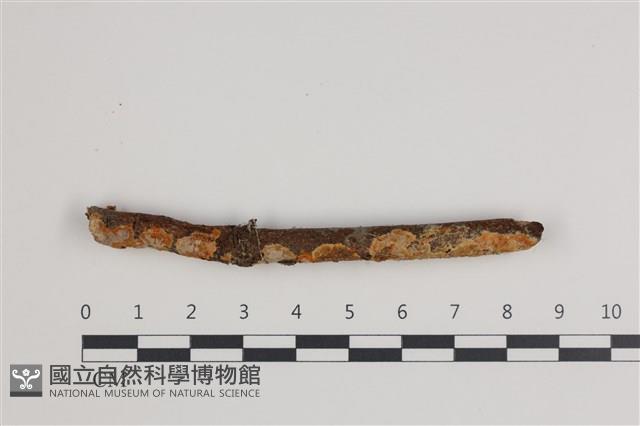 登錄號:F0035684藏品圖，第1張