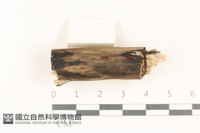 登錄號:F0037934藏品圖，第1張