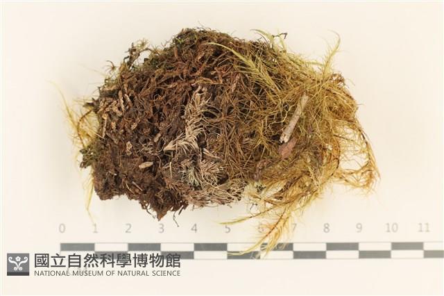 登錄號:F0037134藏品圖，第1張
