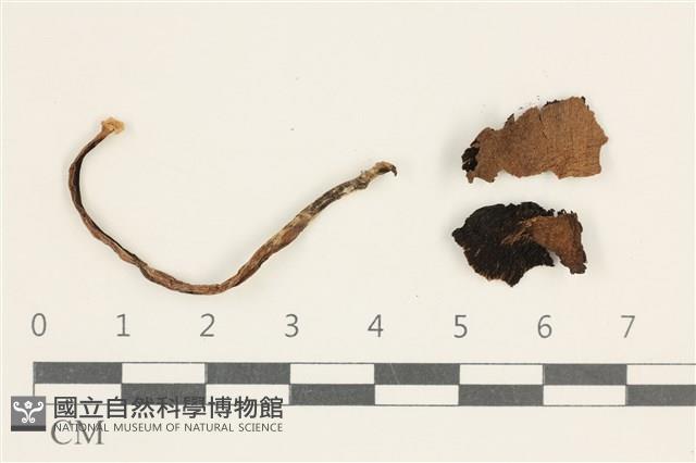 登錄號:F0038034藏品圖，第1張