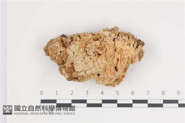 登錄號:F0035674藏品圖，第1張