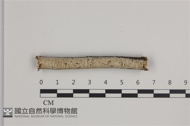 登錄號:F0035762藏品圖，第1張