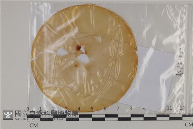 登錄號:F0035222藏品圖，第1張
