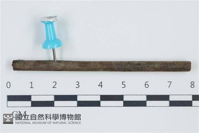 登錄號:F0038922藏品圖，第1張