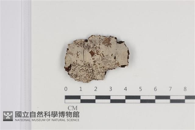 登錄號:F0035622藏品圖，第1張