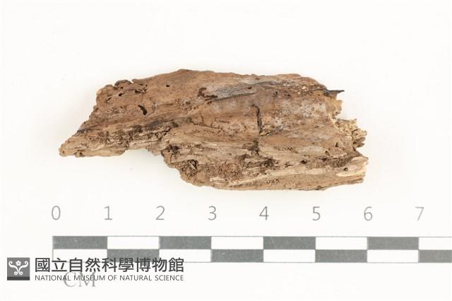 登錄號:F0038422藏品圖，第1張