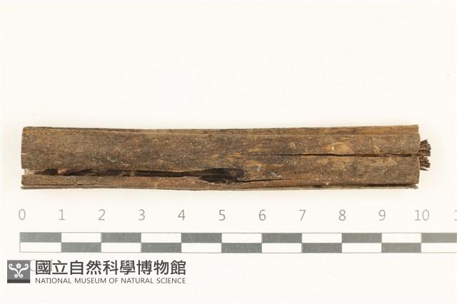 登錄號:F0038122藏品圖，第1張
