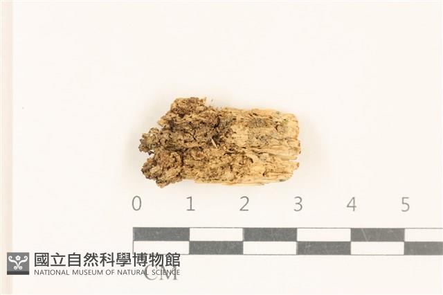 登錄號:F0017602藏品圖，第1張