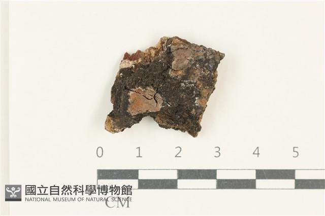 登錄號:F0038302藏品圖，第1張